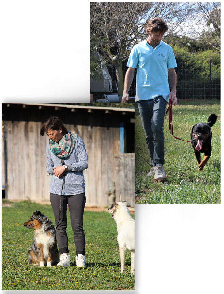 montage-la-pension-educative-dogshome-montpellier montage-la-pension-educative-dogshome-montpellier
